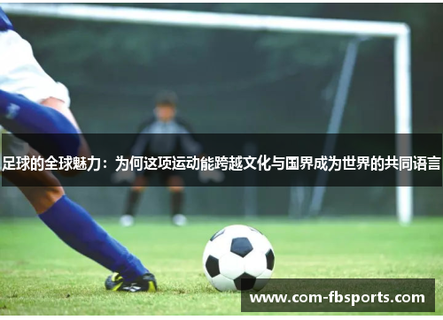 足球的全球魅力：为何这项运动能跨越文化与国界成为世界的共同语言