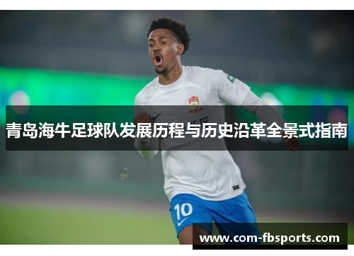 青岛海牛足球队发展历程与历史沿革全景式指南 青岛海牛足球队发展历程与历史沿革全景式指南