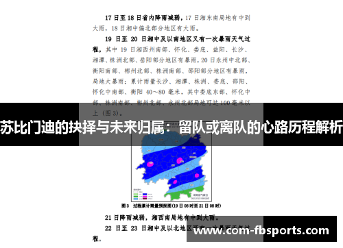 苏比门迪的抉择与未来归属：留队或离队的心路历程解析
