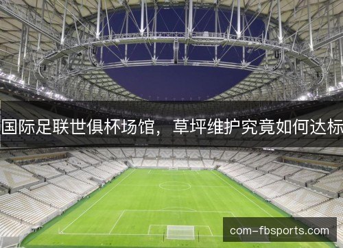 国际足联世俱杯场馆，草坪维护究竟如何达标